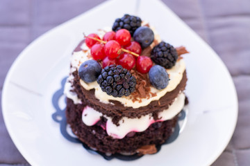 Chocolate cake with blackberry, cranberry and blueberry