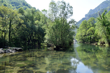 Obraz premium Treska river in Matka canyon. Skopje, Macedonia.