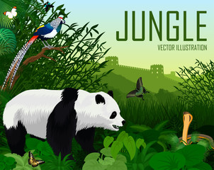 Vector china jungle forest with giant panda bear, cobra and diamond lady amherst's pheasant