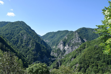 Mount Cetatea near Poenari Castle. Arges River valley, Romania.