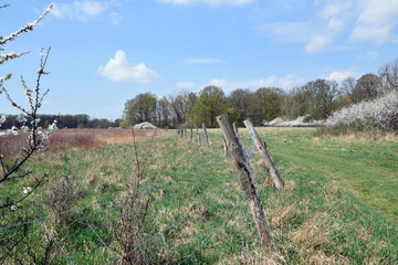 Obraz premium The fence encloses the meadow. 