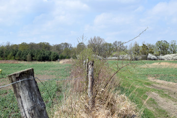 The fence encloses the meadow. 
