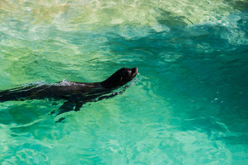 Obraz premium Berlino