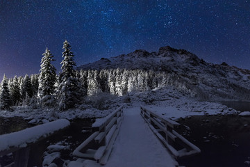 Winter clear starry night - obrazy, fototapety, plakaty