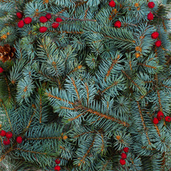 Naklejka na ściany i meble Layout made of Christmas tree branches and red berries. Mockup, flat lay. New Year winter season concept