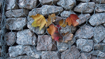Heart of leaves on a stone wall behind an iron net