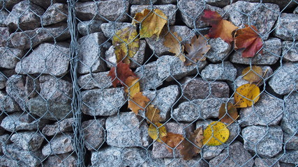 Heart of leaves on a stone wall behind an iron net