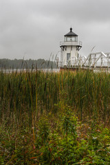 Vertical Doubling Point Lighthouse Cattails in Foreground