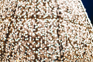 Garlands in New Year