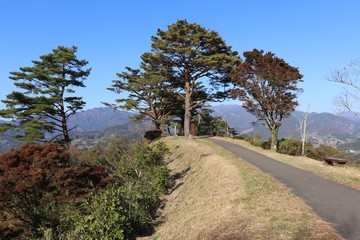 国見ケ丘の風景