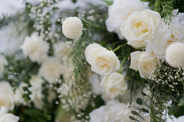 Obraz na płótnie Canvas closeup white rose flower background