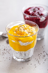 Healthy yogurt desserts with chia seeds