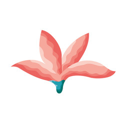 flower leaves foliage on white background