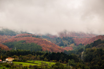 Niebla descendiendo por una montaña en otoño