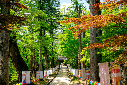 Haeinsa temple in South Korea. One of the three temple jewels of buddhist temples in Korea.