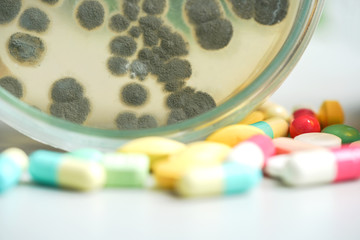Medicine pills with Penicillium(mold), Ascomycetous fungi.