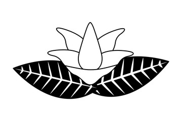 flower leaves foliage on white background