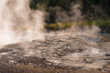 Steamy landscape view of geothermal features, Yellowstone National Park