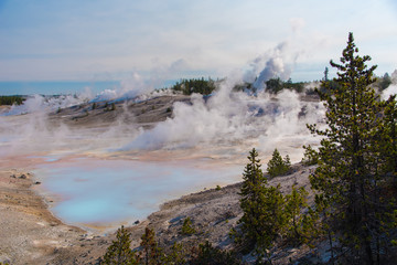 Norris Geyser Basin, Yellowstone National Park, early morning landscape
