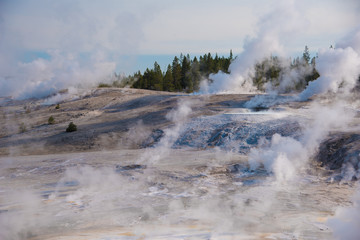 Norris Geyser Basin, Yellowstone National Park, early morning landscape