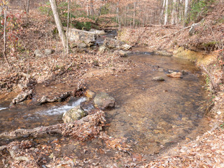 A stream flowing through the forest in Calhoun County, Alabama, USA