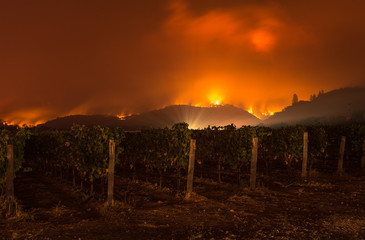 Fire in Sonoma Hills