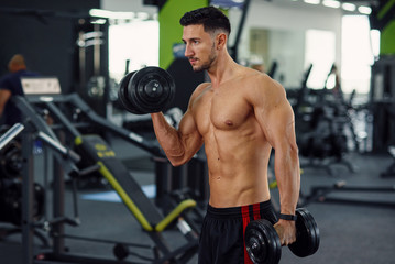 Fototapeta na wymiar Close up of sporty fitness man doing exercises for biceps using dumbbells on the stylish gym background.