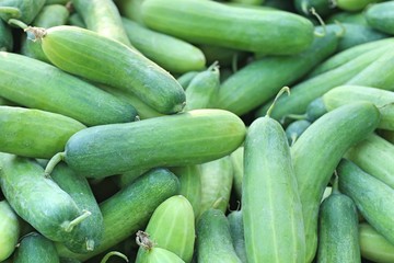 cucumber at street food