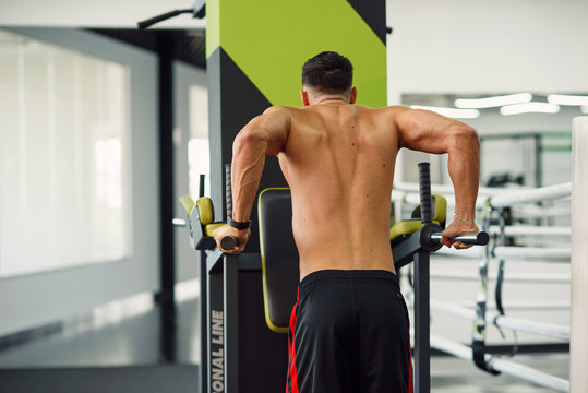 Strong healthy man doing push-ups on parallel bars while training in modern gym. Back view. Sporty and healthy concept.