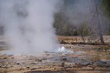 Steam rises from a geothermal area in Yellowstone National Park