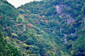 奈良の寺の紅葉