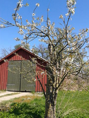Granja