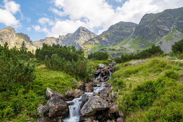 SMall stream at the Tatra National Park