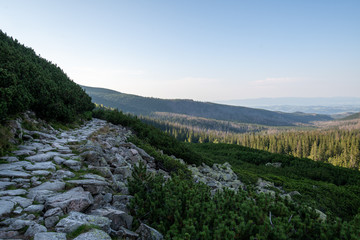 Obraz premium Hiking path in the Tatra Park