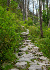 Fototapeta na wymiar Hiking path in the Tatra Park