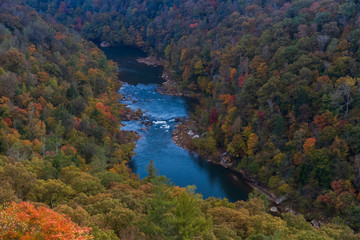 Fototapeta na wymiar River flowing thru gorge in forest with fall foliage