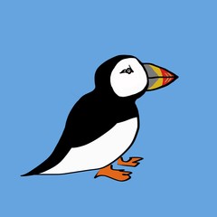 puffin