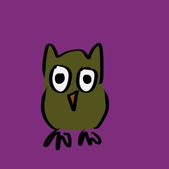 owl 1