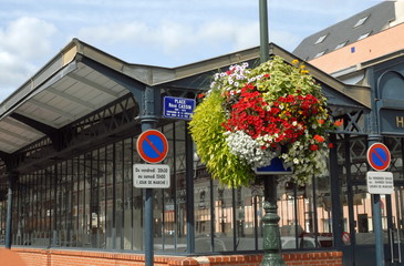 Ville d'Epernay, vieille halle, marché couvert et fleurs suspendues en premier plan, département de la Marne, France