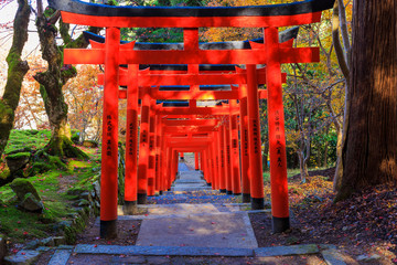 有子山稲荷神社の鳥居