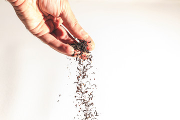 Black tea leaves tickling from the fingers off a white background