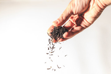 Black tea leaves tickling from the fingers off a white background