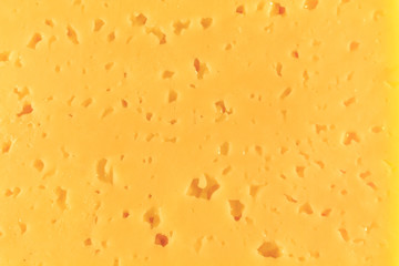 Cheese with holes yellow-white close-up in the whole photo
