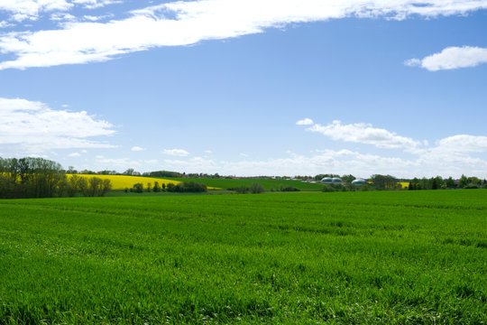 Goellnitz / Germany: View over the beautiful rural landscape with a yellow blooming rapeseed field and a biogas plant in Eastern Thuringia