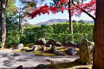 日本の京都の紅葉と庭園と寺院