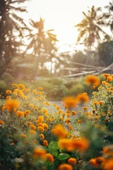 Bali's Radiant Sunset: Palms, Flowers, and Tropical Beauty