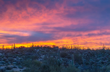 Colorful Desert sunrise in North Scottsdale, Arizona