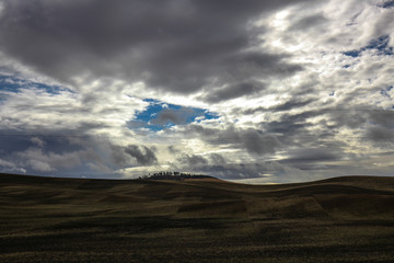 Fototapeta premium Patchy Palouse