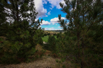 Golf Course land