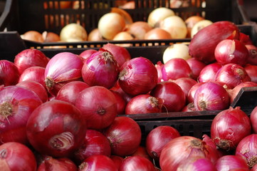 Red and white onions for sale at the greenmarket